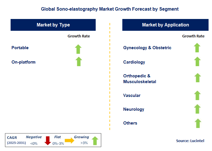 Sono-elastography Market by Segment