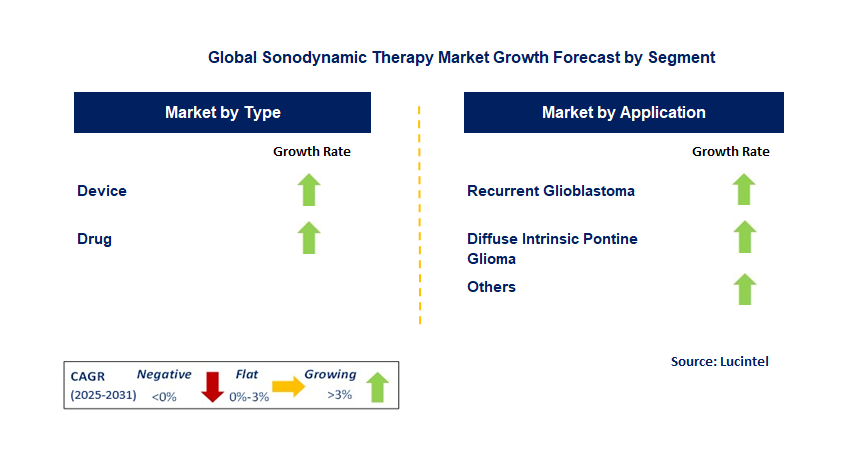 Sonodynamic Therapy Market by Segment