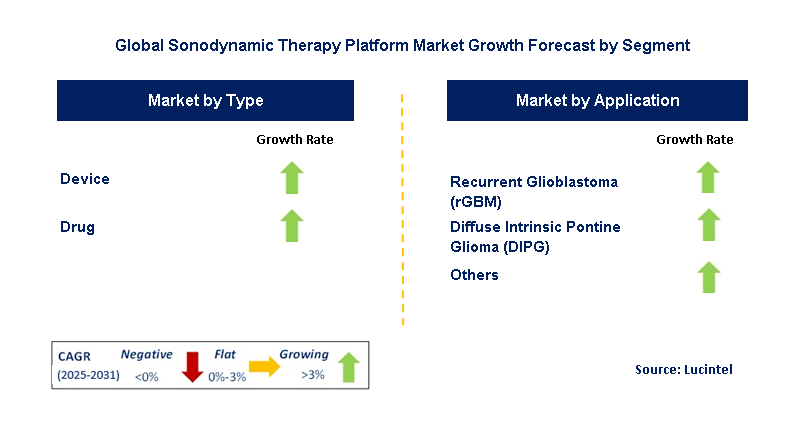 Sonodynamic Therapy Platform Market by Segment