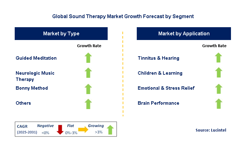Sound Therapy Market by Segment