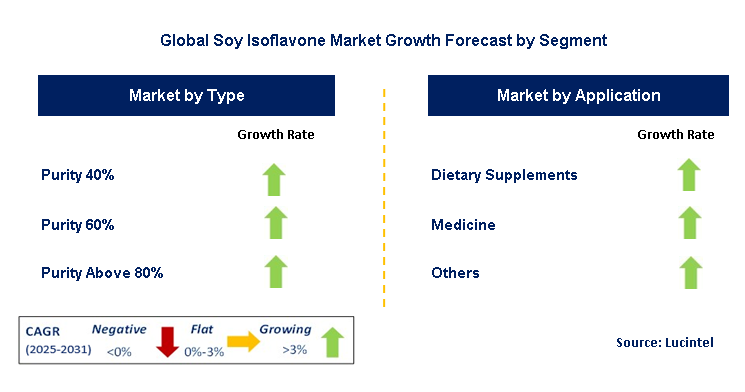Soy Isoflavone Market by Segment