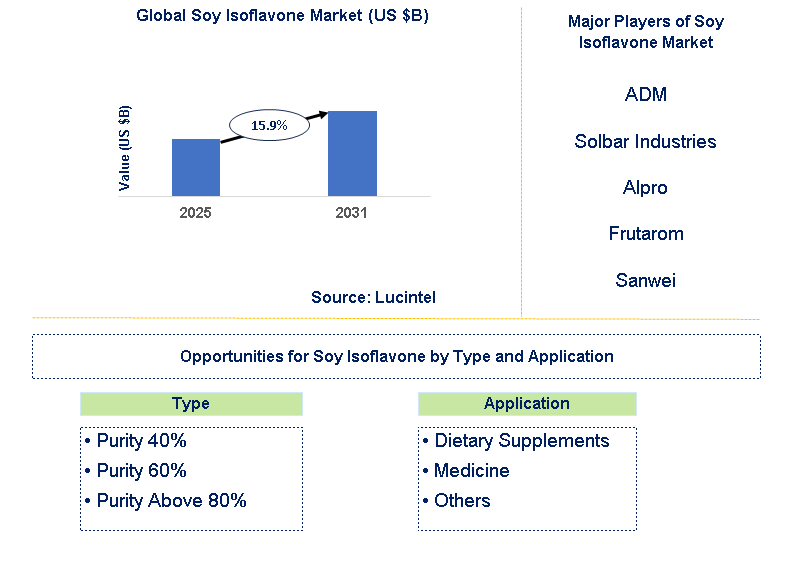 Soy Isoflavone Market Trends and Forecast