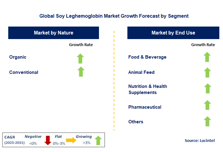 Soy Leghemoglobin Market by Segment