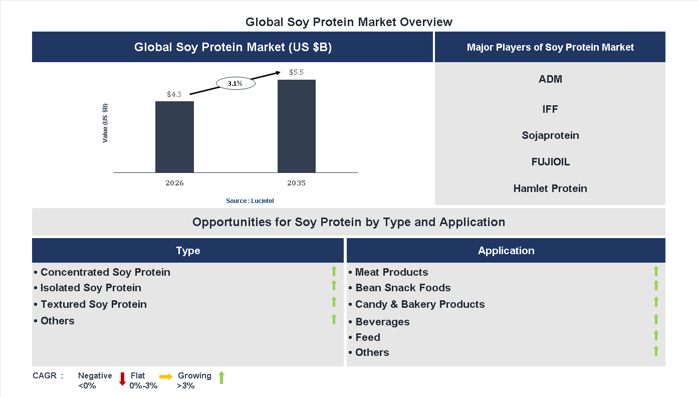 Soy Protein Market Trends and Forecast
