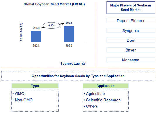Soybean Seed Market Trends and Forecast