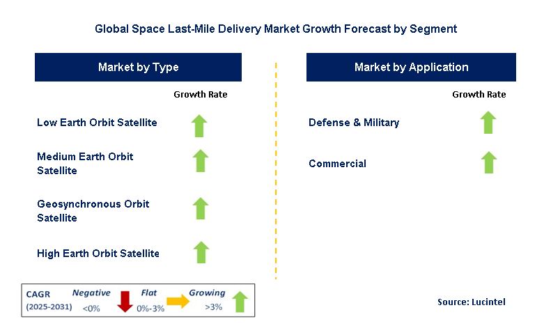 Space Last-Mile Delivery Market by Segment