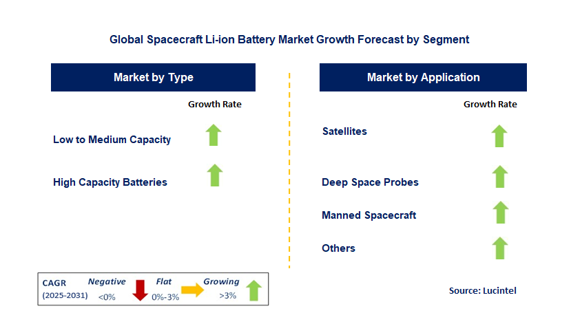Spacecraft Li-ion Battery Market by Segment