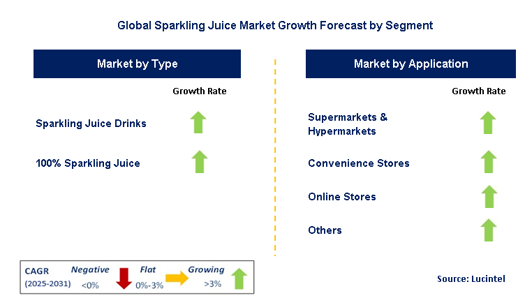 Sparkling Juice Market by Segment