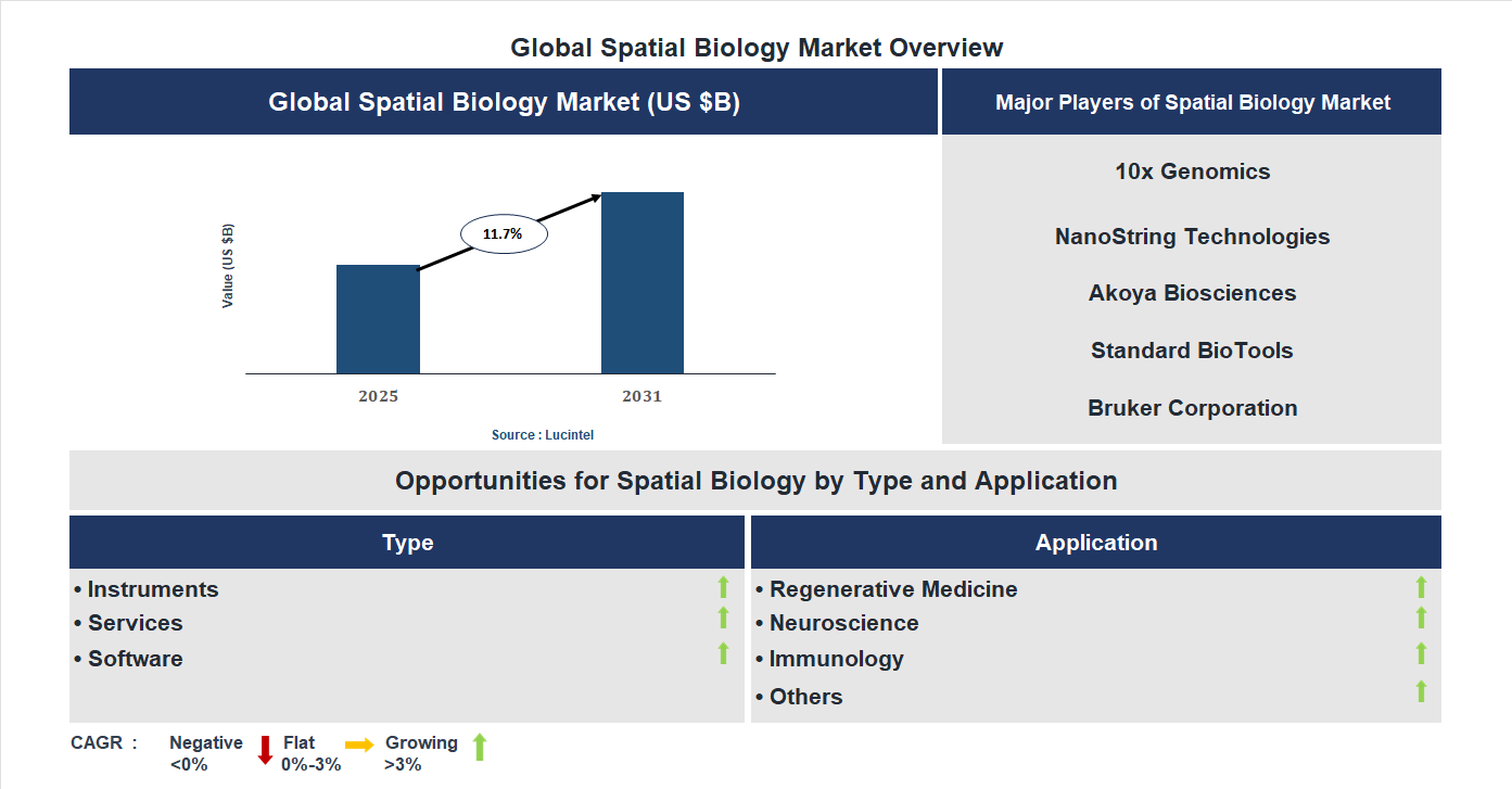 Spatial Biology Market Trends and Forecast