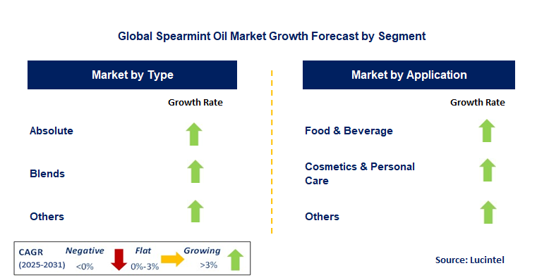 Spearmint Oil Market by Segment