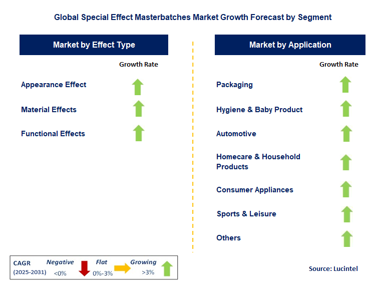 Special Effect Masterbatches Market by Segment