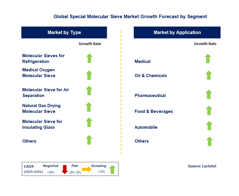 Special Molecular Sieve Market by Segment
