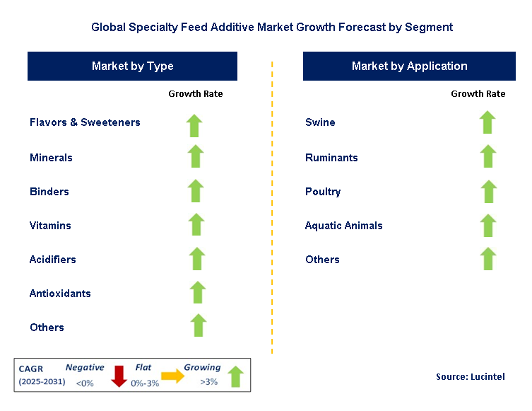 Specialty Feed Additive Market by Segment