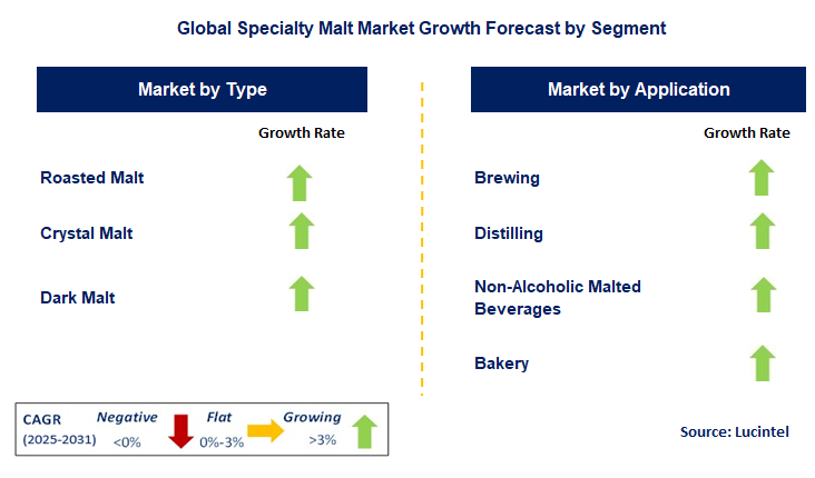 Specialty Malt Market by Segment