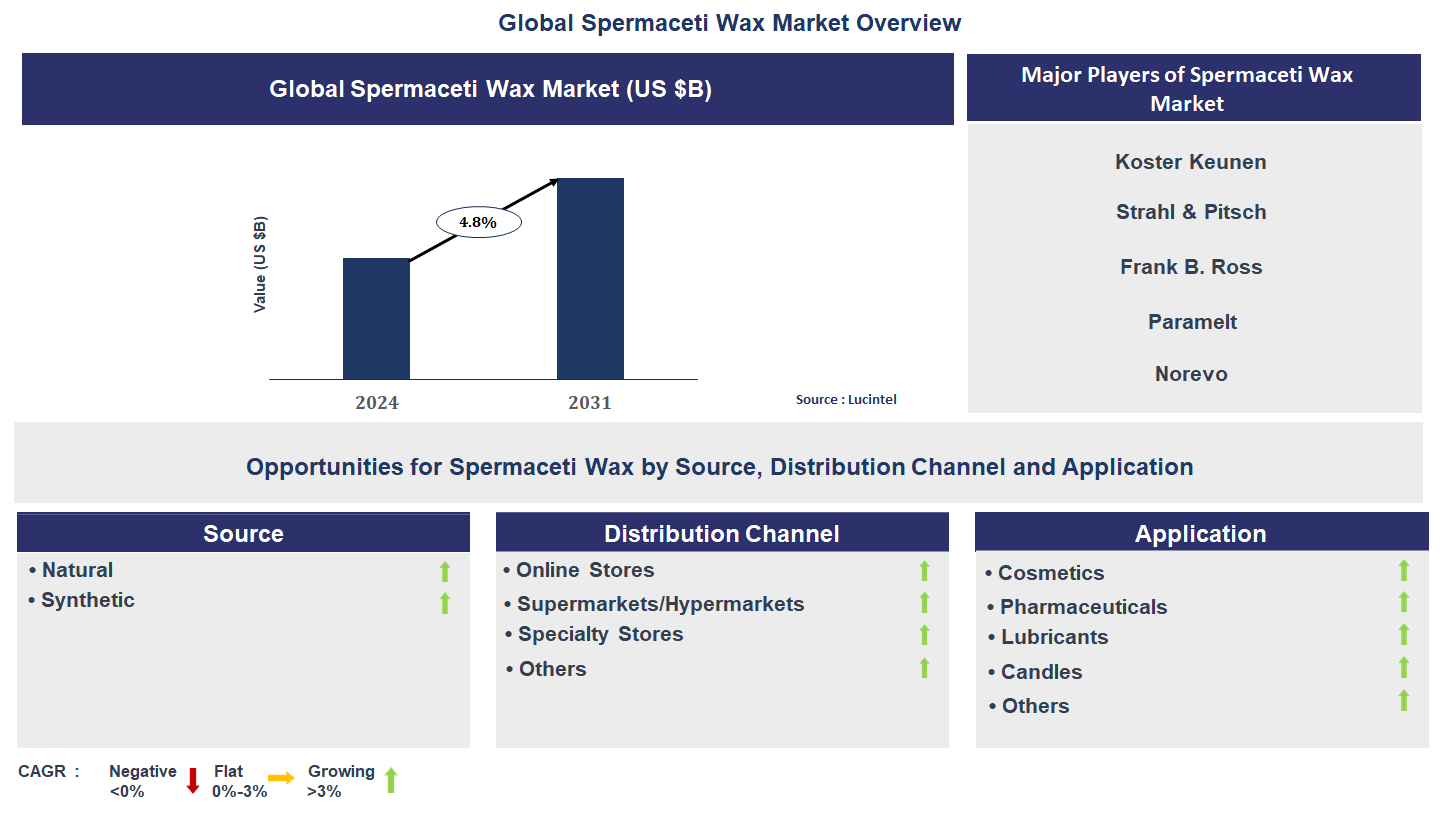 Spermaceti Wax Market Trends and Forecast
