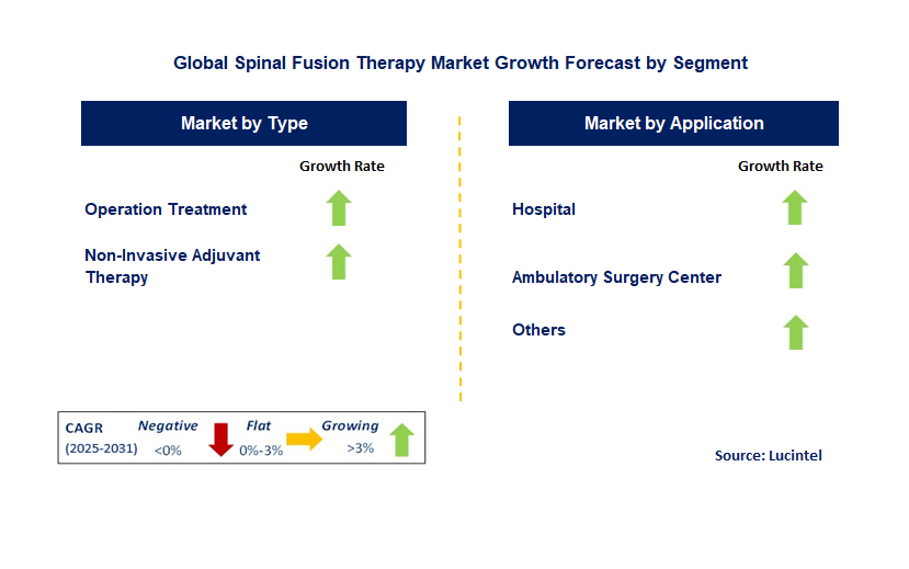 Spinal Fusion Therapy Market by Segment