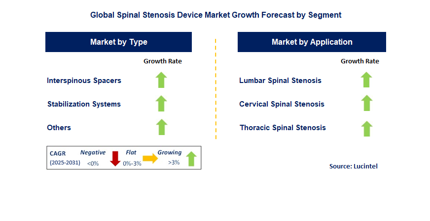 Spinal Stenosis Device Market by Segment