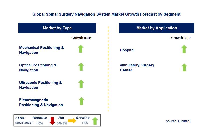 Spinal Surgery Navigation System Market by Segment