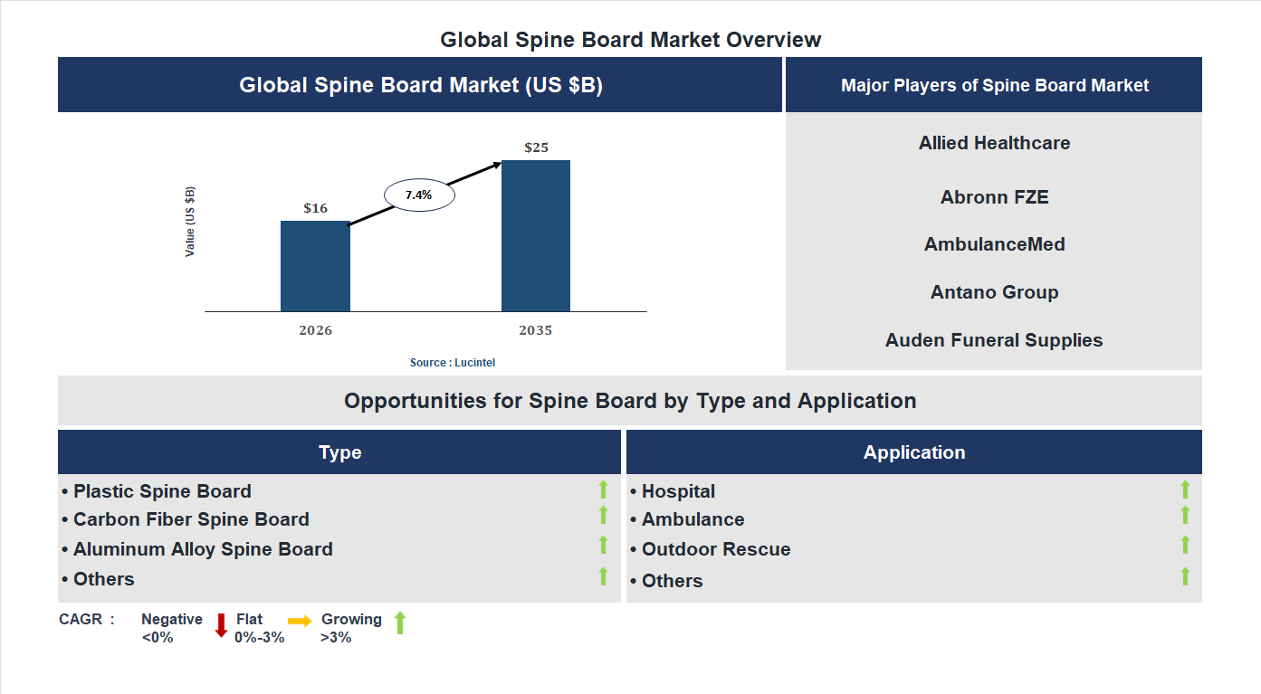 Spine Board Market Trends and Forecast