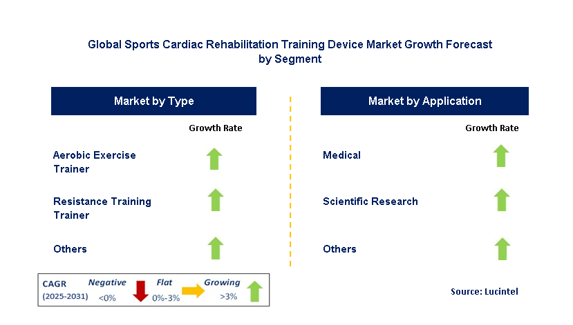 Sports Cardiac Rehabilitation Training Device Market by Segment