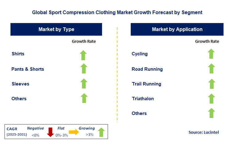 Sport Compression Clothing Market by Segment