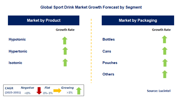 Sport Drink Market by Segment