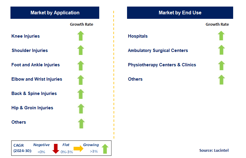 Sport Medicine by Segment