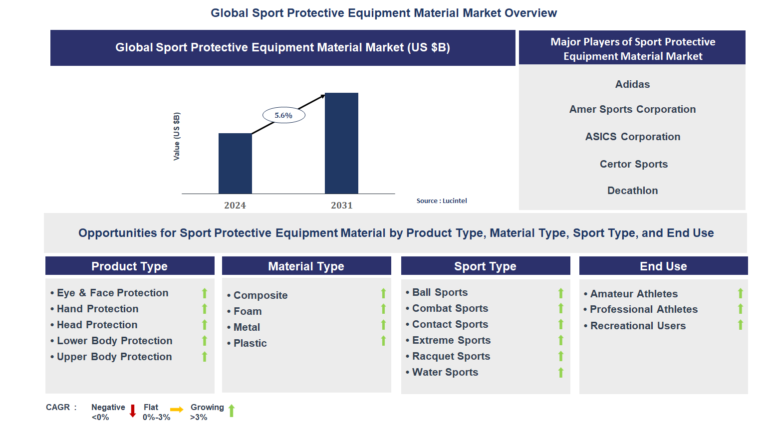 Sport Protective Equipment Material Market Trends and Forecast