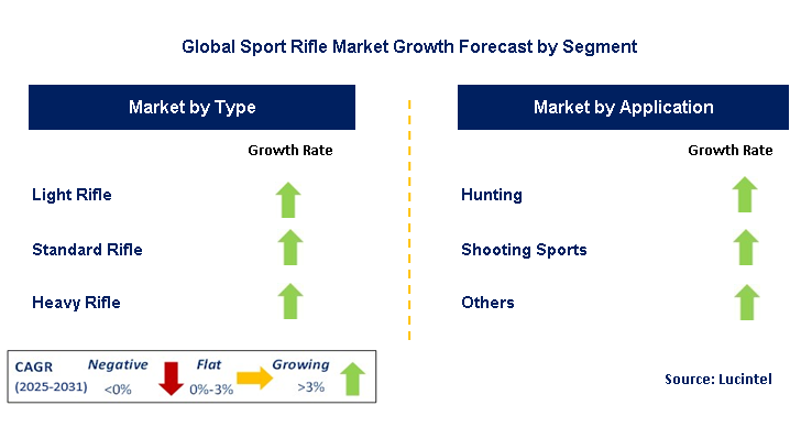 Sport Rifle Market by Segment