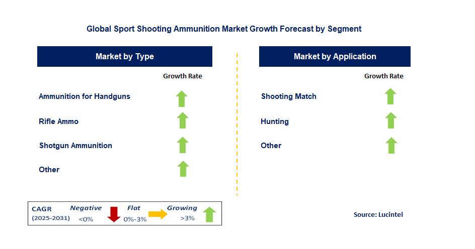 Sport Shooting Ammunition Market by Segment