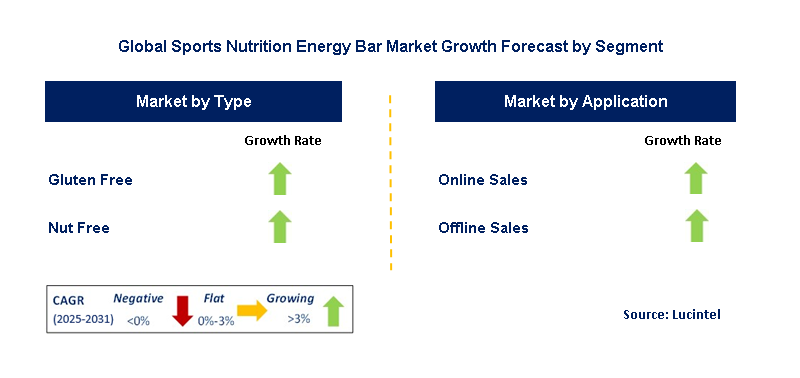 Sports Nutrition Energy Bar Market by Segment
