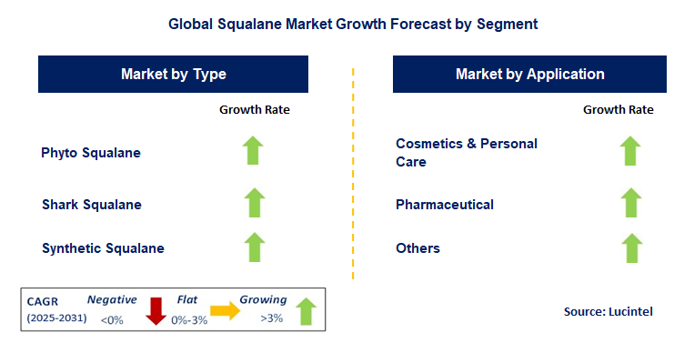 Squalane Market by Segment