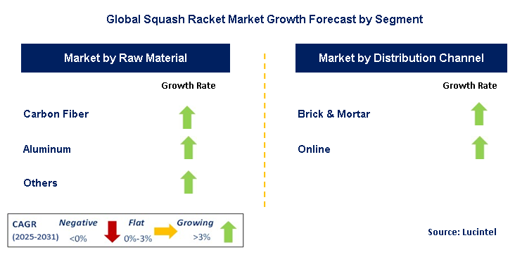 Squash Racket Market by Segment