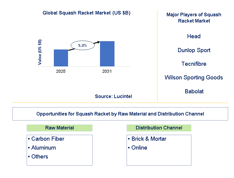 Squash Racket Market Trends and Forecast