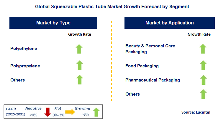 Squeezable Plastic Tube Market by Segment