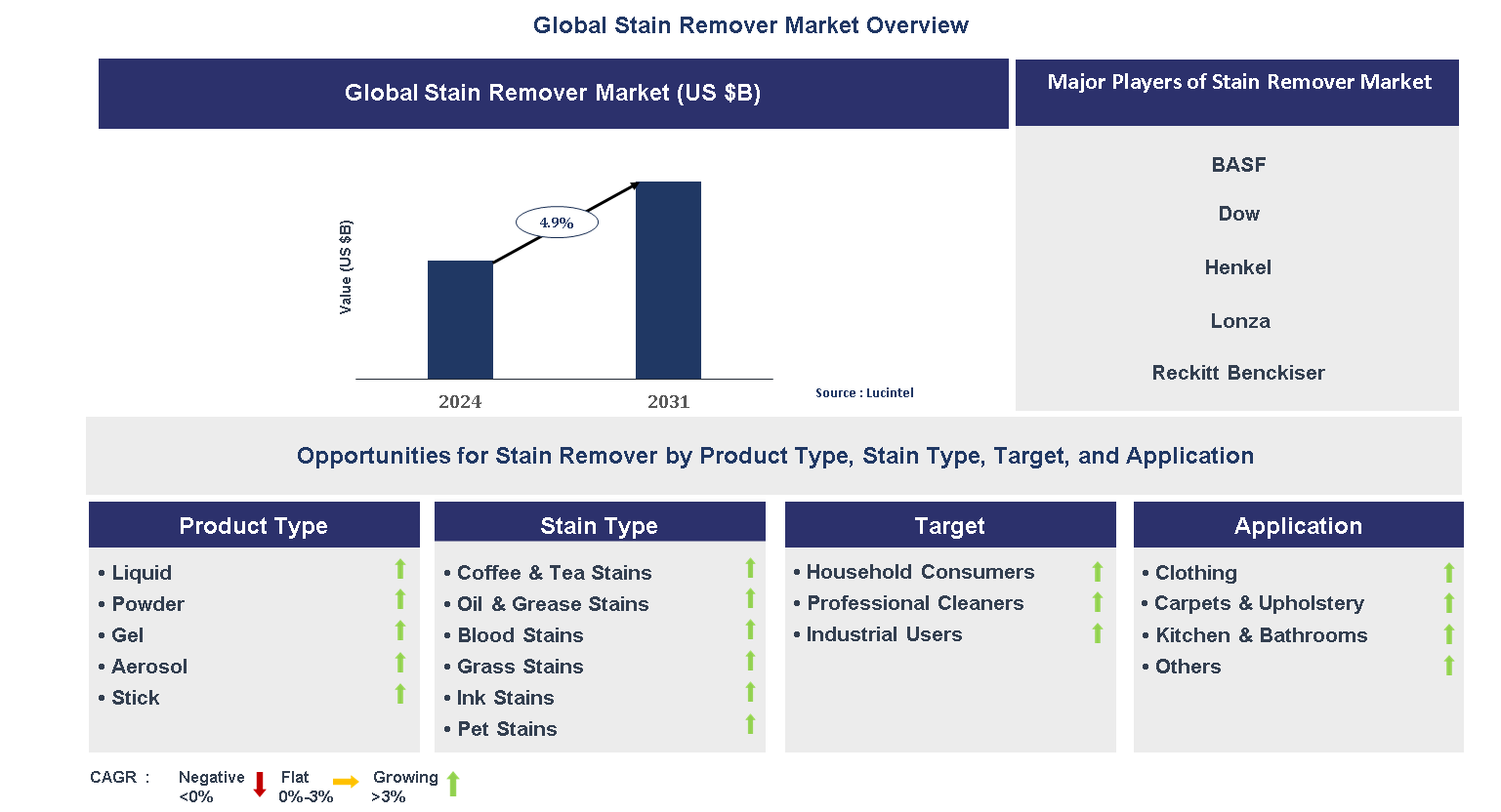 Stain Remover Market Trends and Forecast