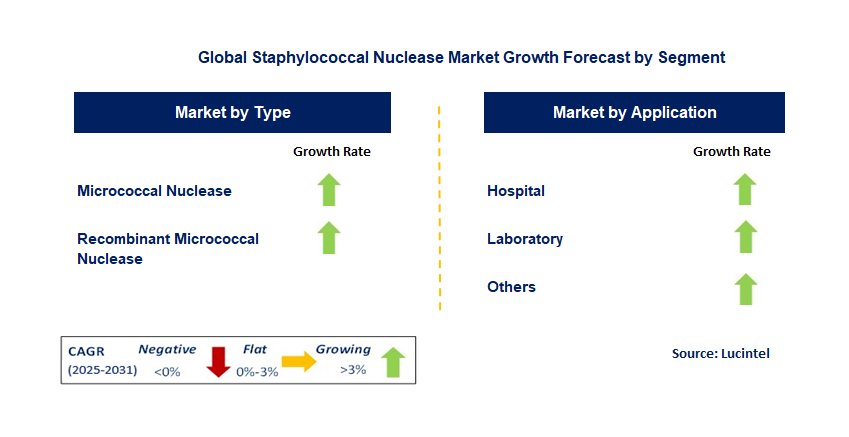 Staphylococcal Nuclease Market by Segment