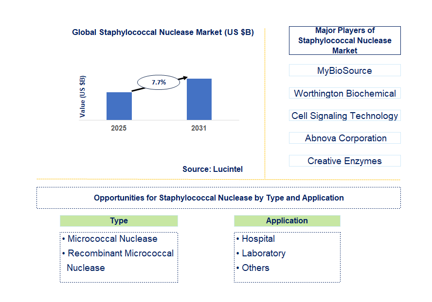 Staphylococcal Nuclease Market Trends and Forecast