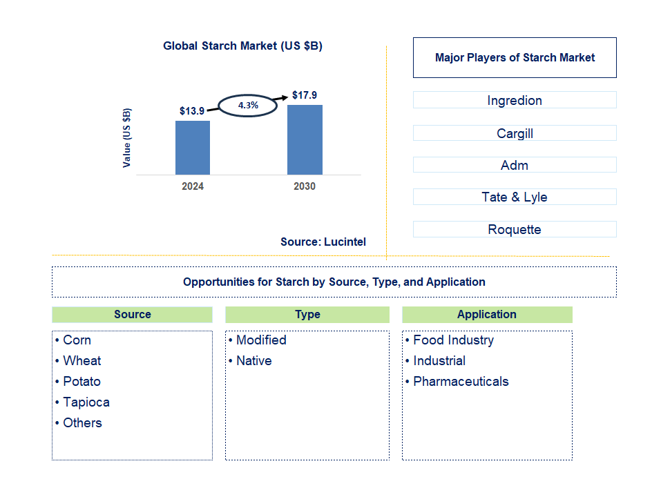 Starch Trends and Forecast