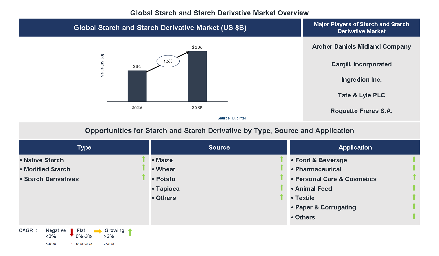 Starch and Starch Derivative Market Trends and Forecast
