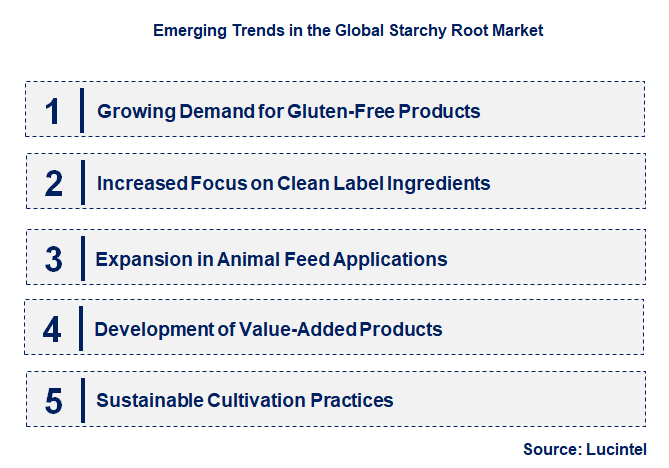 Emerging Trends in the Starchy Root Market