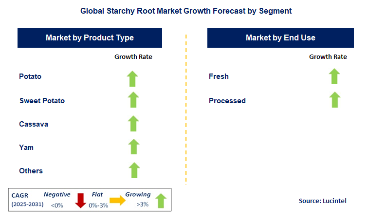 Starchy Root Market by Segment