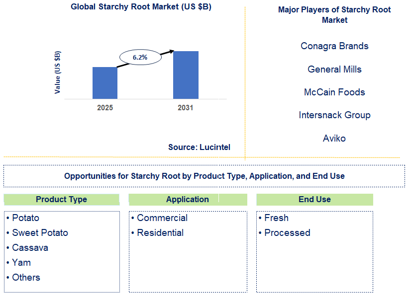 Starchy Root Market Trends and Forecast