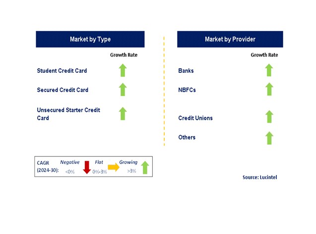 Starter Credit Card by Segment