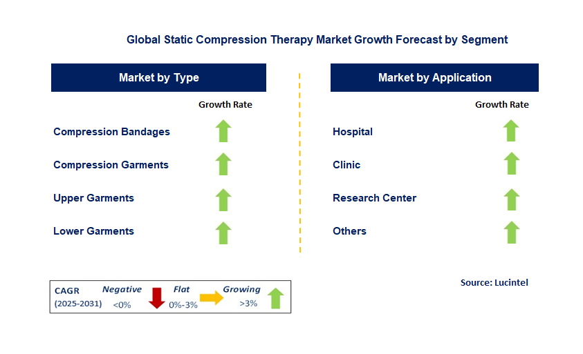 Static Compression Therapy Market by Segment