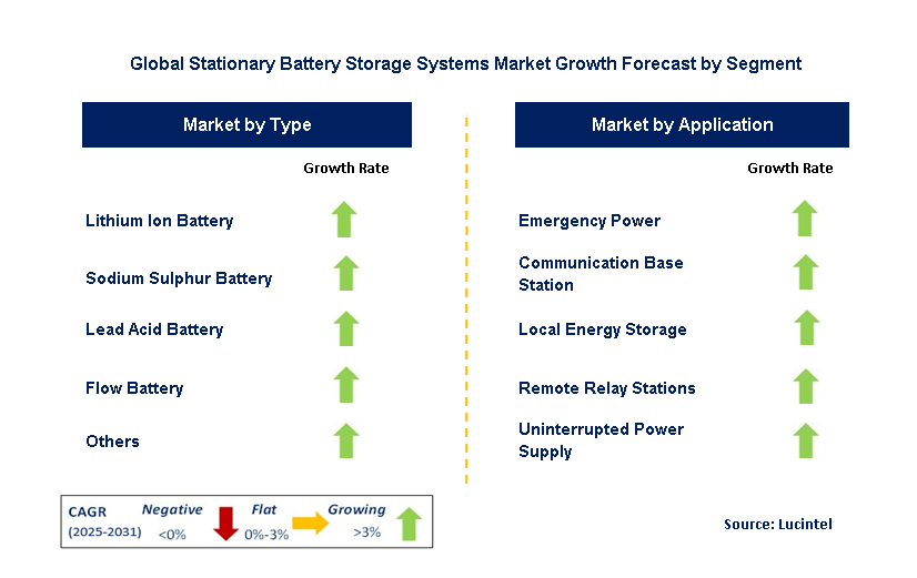 Stationary Battery Storage Systems Market by Segment