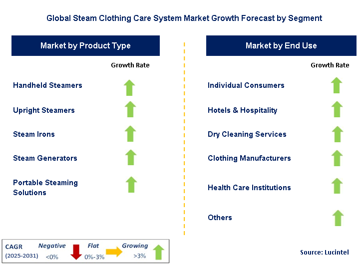 Steam Clothing Care System Market by Segment