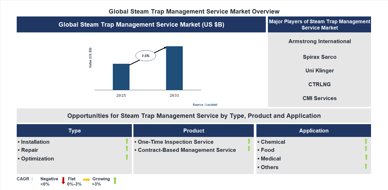 Steam Trap Management Service Market Trends and Forecast