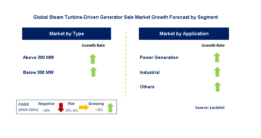 Steam Turbine-Driven Generator Sale Market by Segment