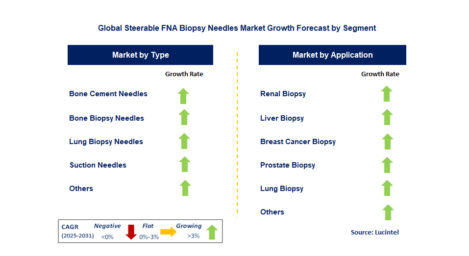 Steerable FNA Biopsy Needles Market by Segment